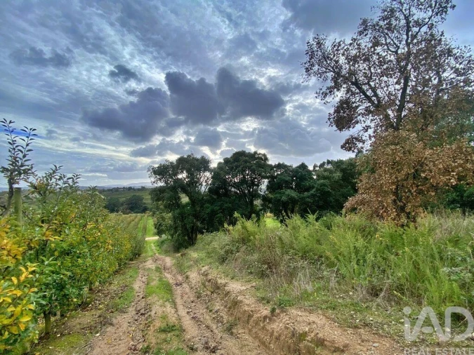 Terreno para Venda em Caldas da Rainha - Santo Onofre e Serra do Bouro Foto 14