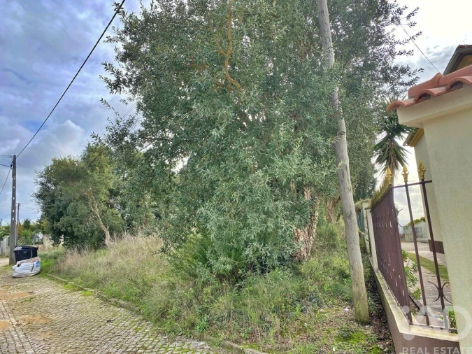 Terreno para Venda em Caldas da Rainha - Santo Onofre e Serra do Bouro Foto 8