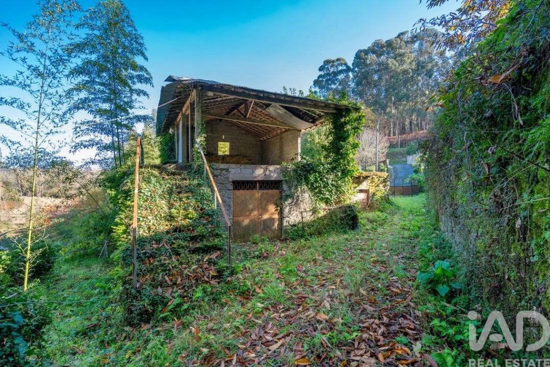 Terreno para Venda em Escariz (São Mamede) e Escariz (São Martinho) Foto 1