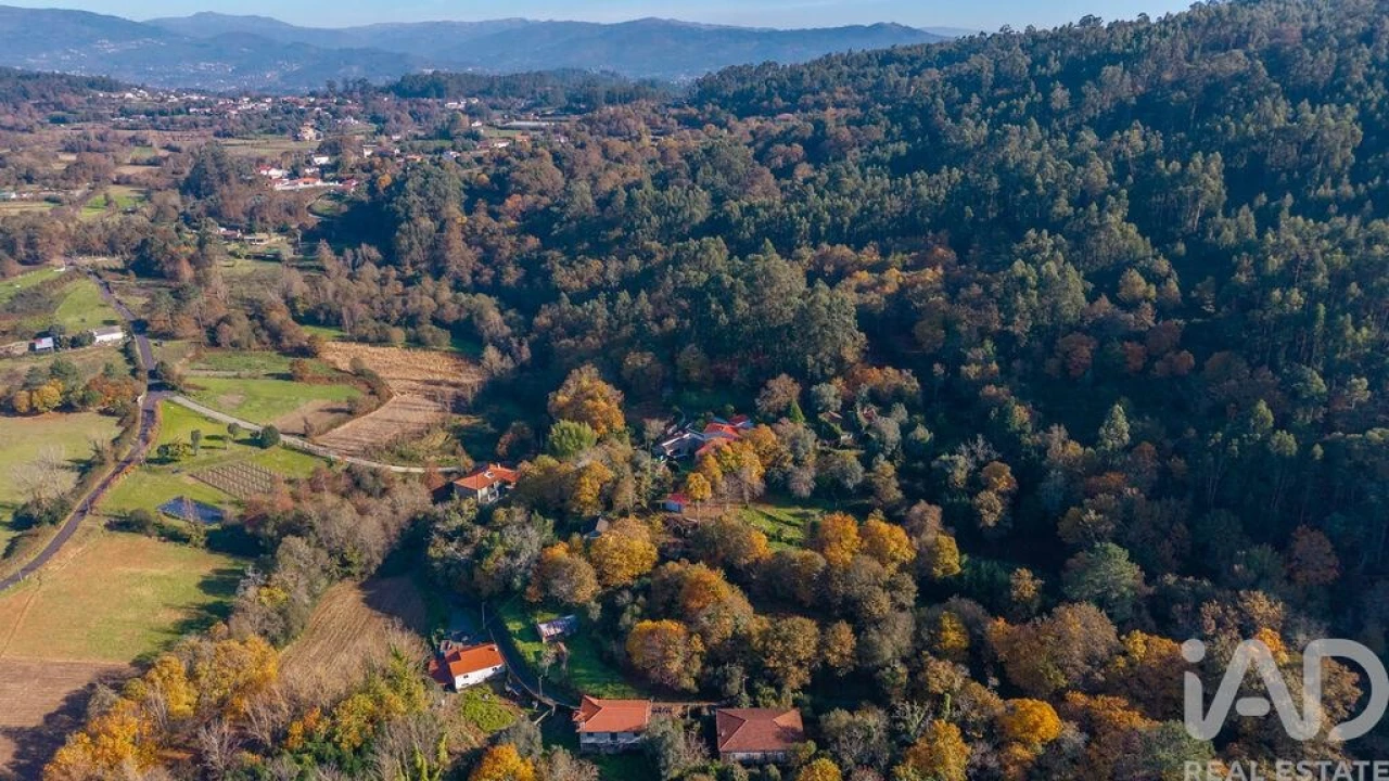 Terreno para Venda em Escariz (São Mamede) e Escariz (São Martinho) Foto 4