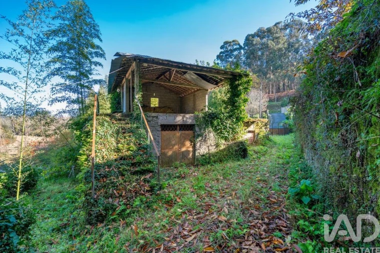 Terreno para Venda em Escariz (São Mamede) e Escariz (São Martinho) Foto 1