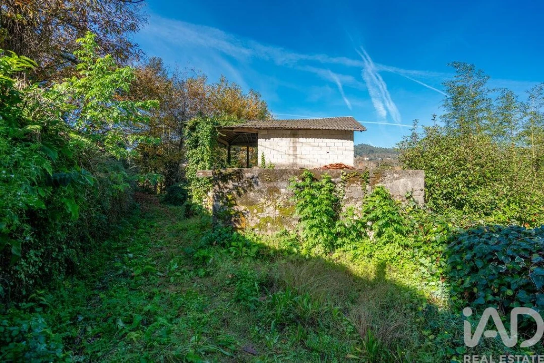 Terreno para Venda em Escariz (São Mamede) e Escariz (São Martinho) Foto 6