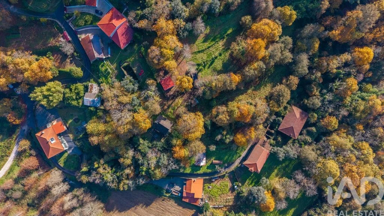 Terreno para Venda em Escariz (São Mamede) e Escariz (São Martinho) Foto 3