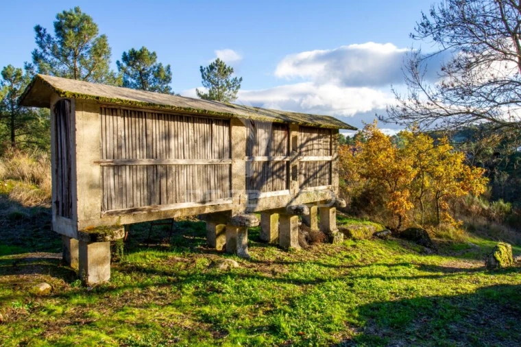 Quinta T7 para Venda em Mondrões Foto 4