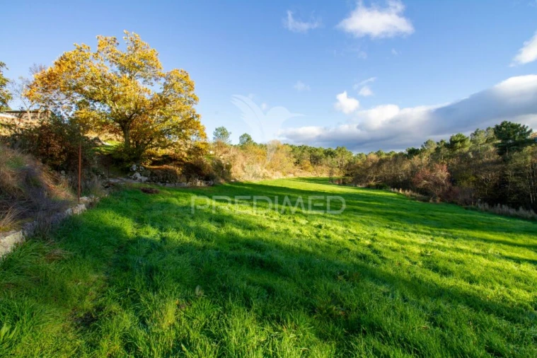 Quinta T7 para Venda em Mondrões Foto 6