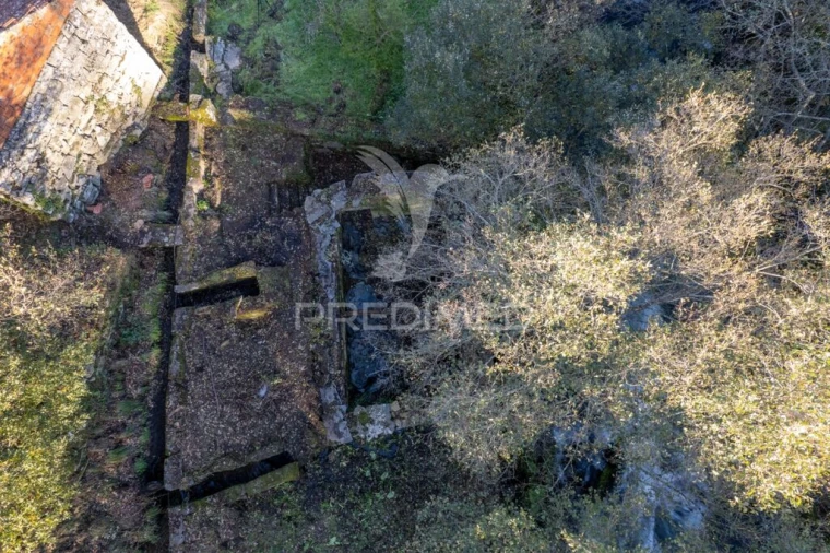 Quinta T7 para Venda em Mondrões Foto 11