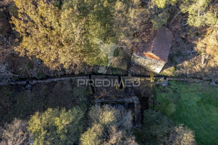 Quinta T7 para Venda em Mondrões Foto 9