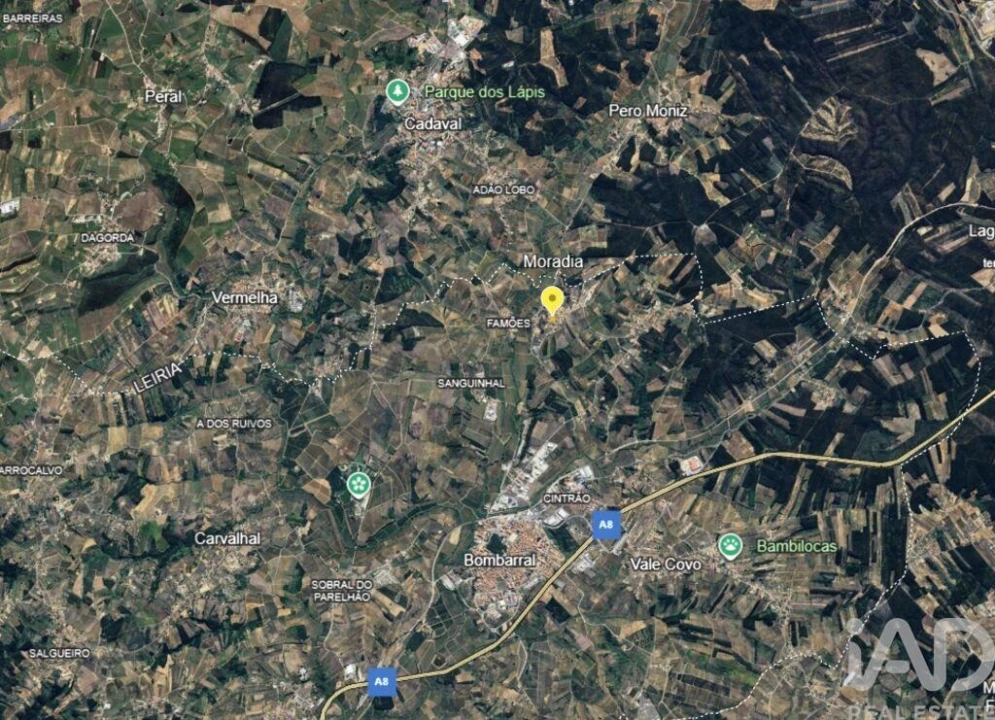 Moradia para Venda em Bombarral e Vale Covo Foto 34