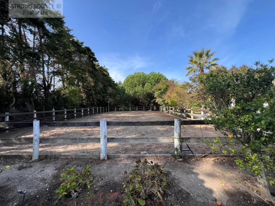 Quinta T5 para Venda em Carvalhal Foto 118