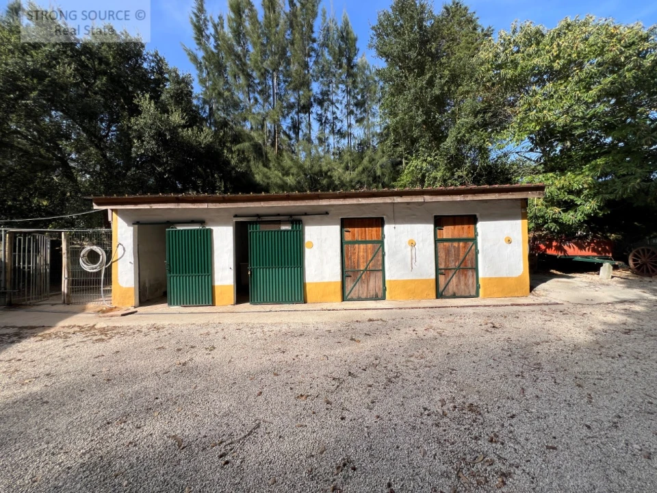 Quinta T5 para Venda em Carvalhal Foto 160