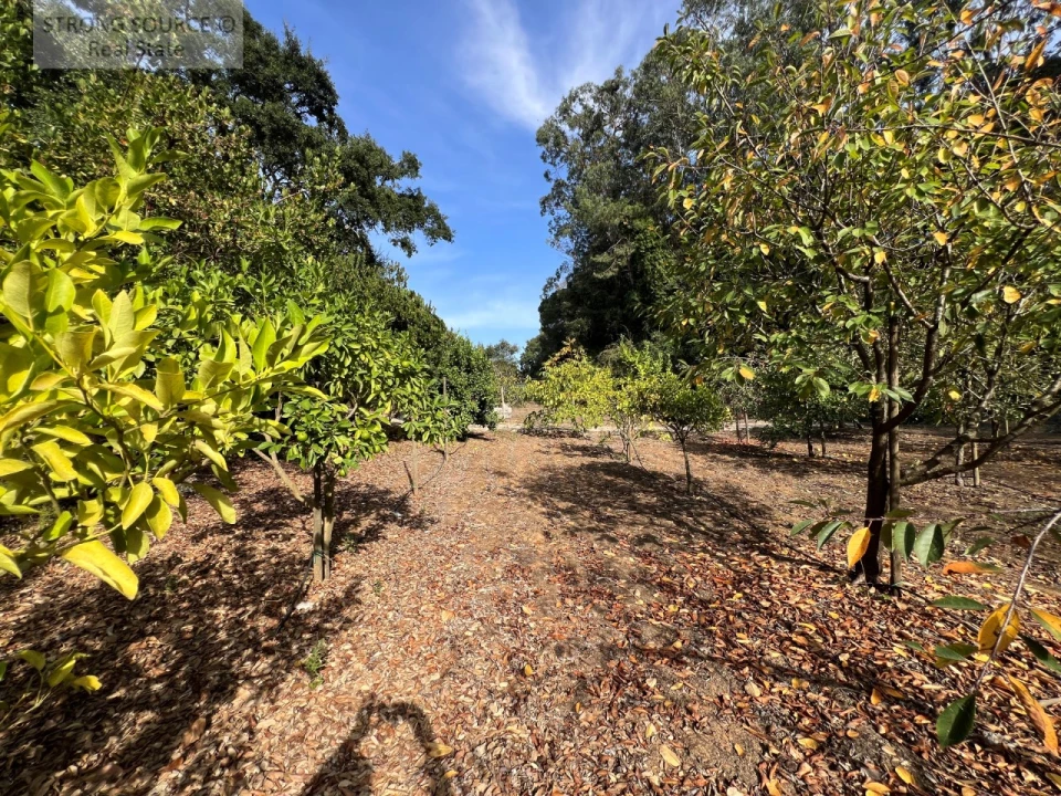 Quinta T5 para Venda em Carvalhal Foto 166