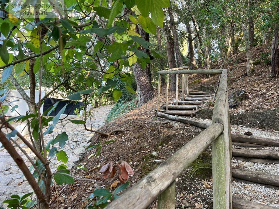 Quinta T5 para Venda em Carvalhal Foto 169