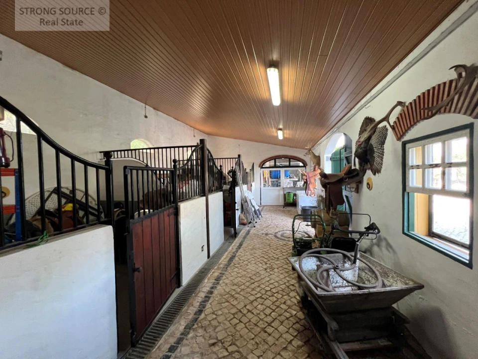 Quinta T5 para Venda em Carvalhal Foto 127