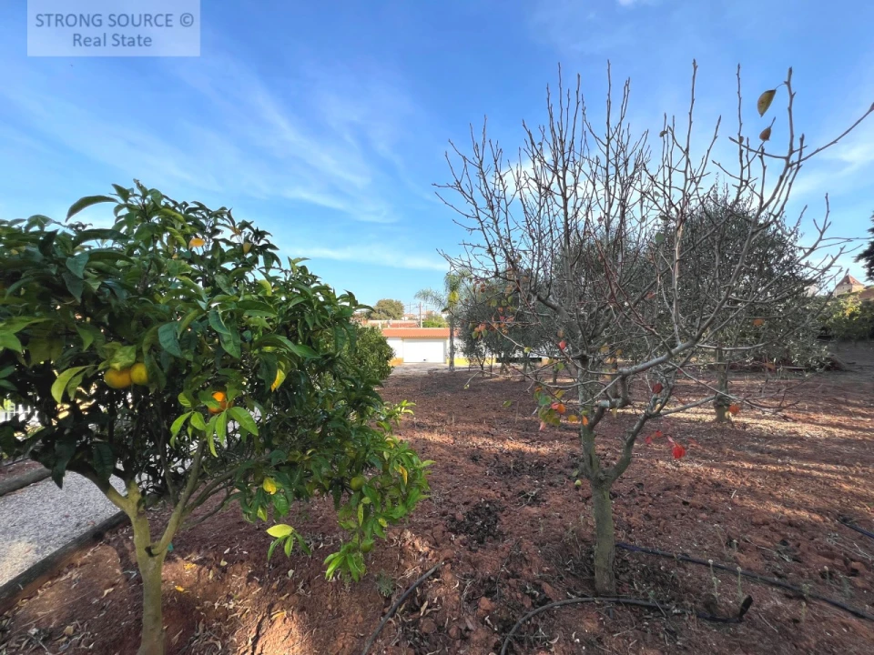 Quinta T5 para Venda em Carvalhal Foto 172