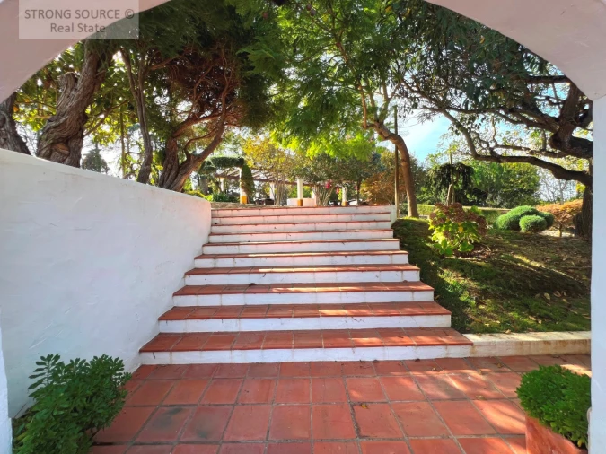 Quinta T5 para Venda em Carvalhal Foto 9