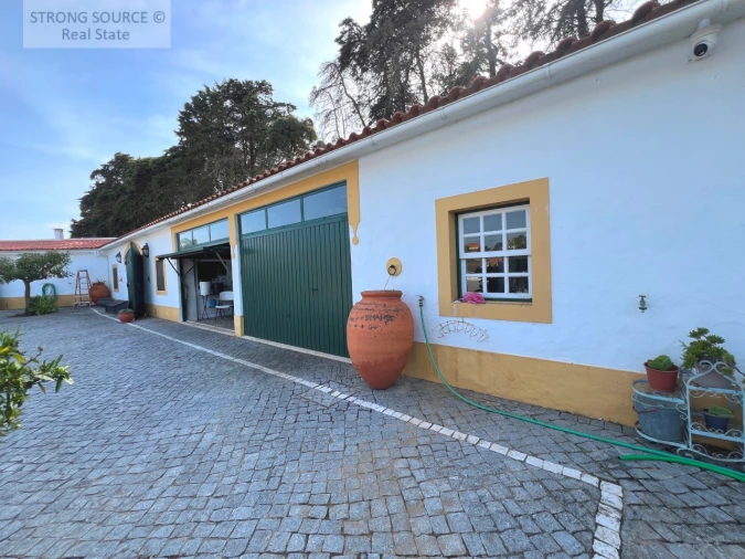 Quinta T5 para Venda em Carvalhal Foto 116