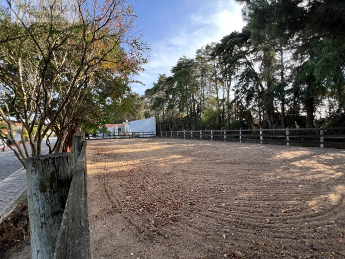 Quinta T5 para Venda em Carvalhal Foto 119