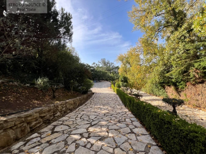 Quinta T5 para Venda em Carvalhal Foto 156