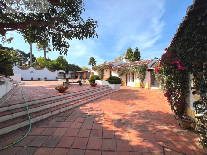 Quinta T5 para Venda em Carvalhal Foto 100