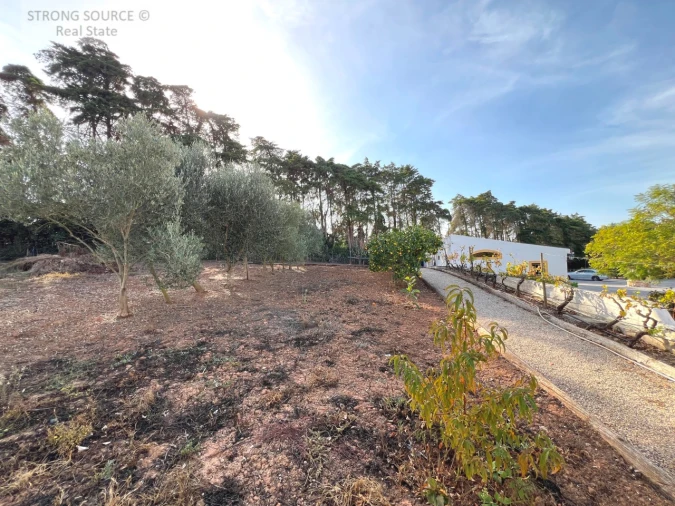 Quinta T5 para Venda em Carvalhal Foto 177