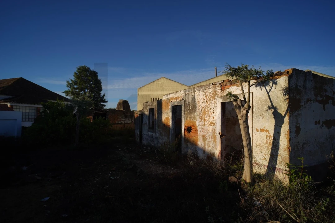 Terreno para Venda em Romeira e Várzea Foto 46