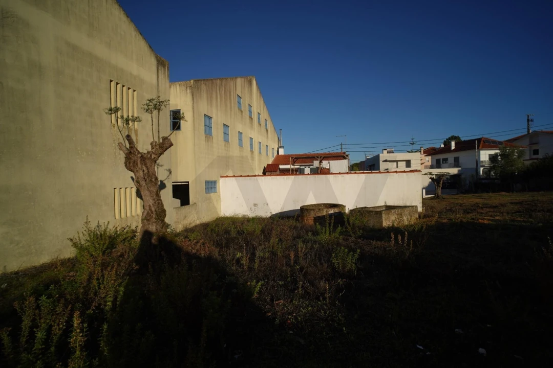 Terreno para Venda em Romeira e Várzea Foto 50