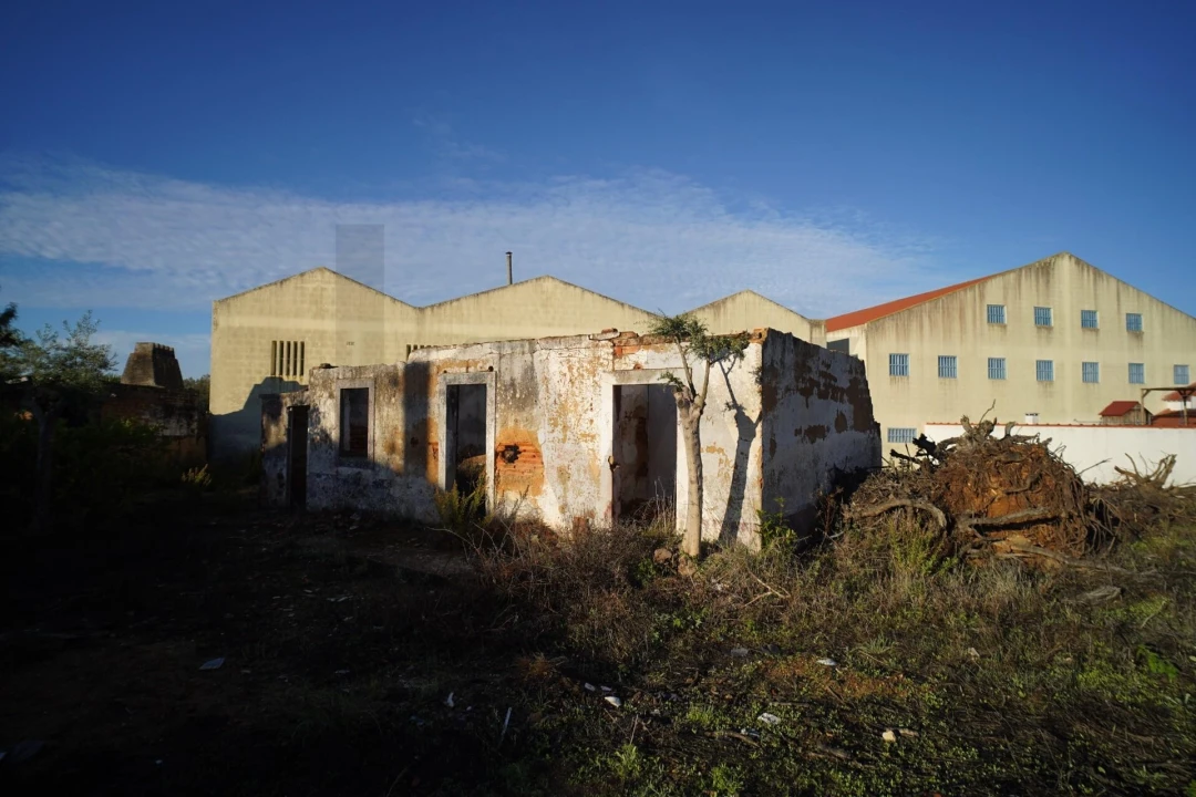 Terreno para Venda em Romeira e Várzea Foto 62