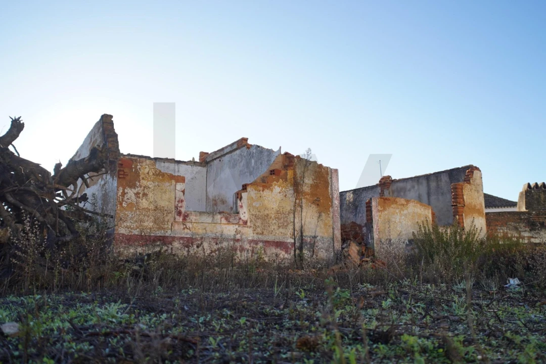 Terreno para Venda em Romeira e Várzea Foto 59