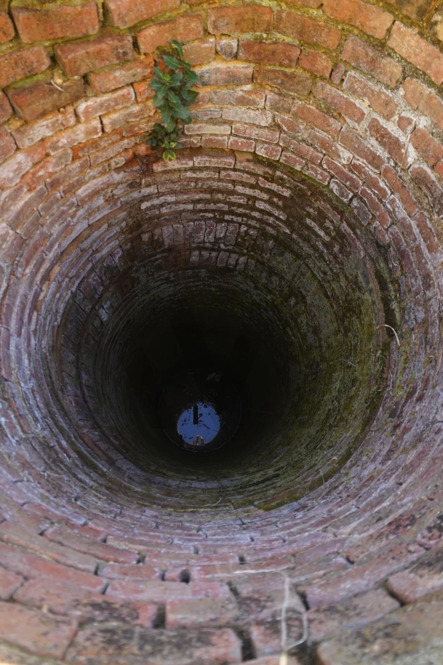 Terreno para Venda em Romeira e Várzea Foto 58