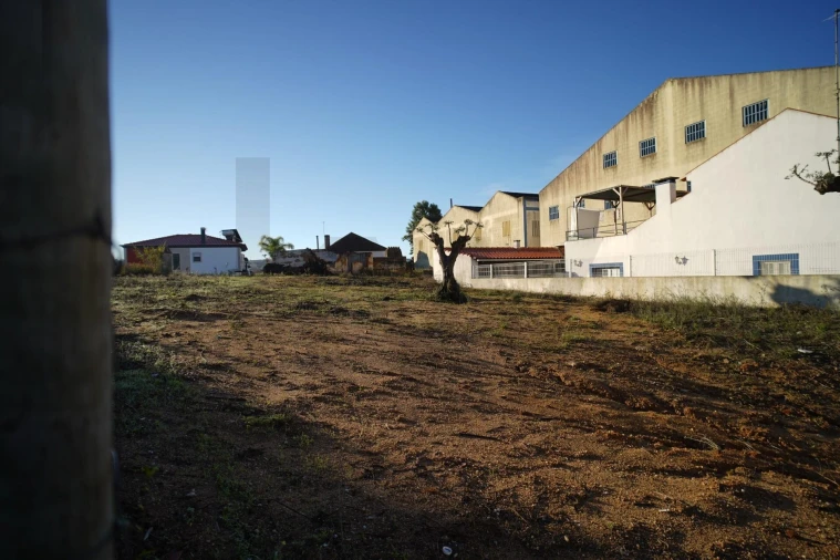 Terreno para Venda em Romeira e Várzea Foto 54
