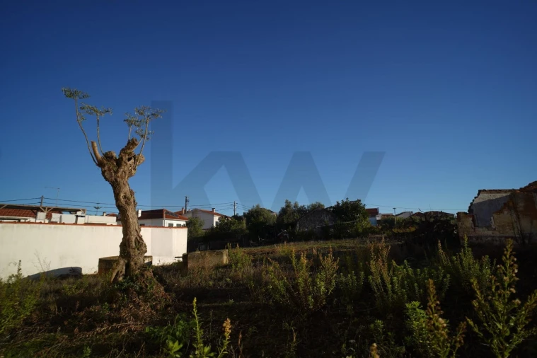 Terreno para Venda em Romeira e Várzea Foto 51