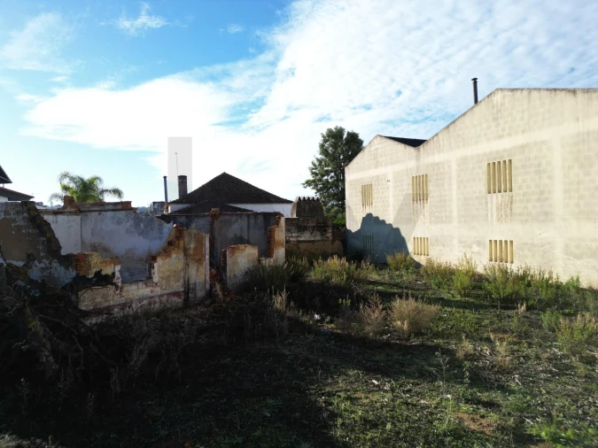 Terreno para Venda em Romeira e Várzea Foto 41
