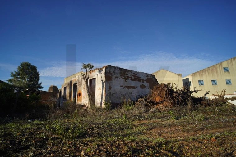 Terreno para Venda em Romeira e Várzea Foto 61