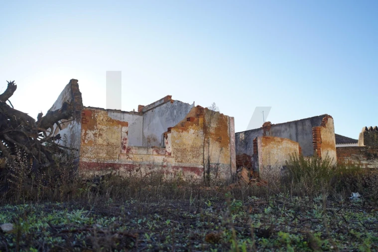 Terreno para Venda em Romeira e Várzea Foto 59
