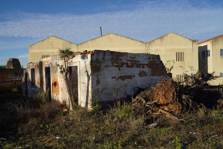 Terreno para Venda em Romeira e Várzea Foto 60