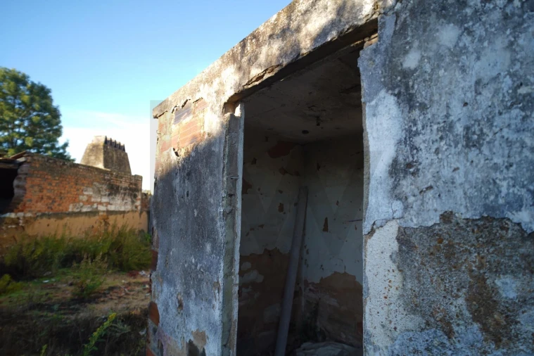 Terreno para Venda em Romeira e Várzea Foto 48