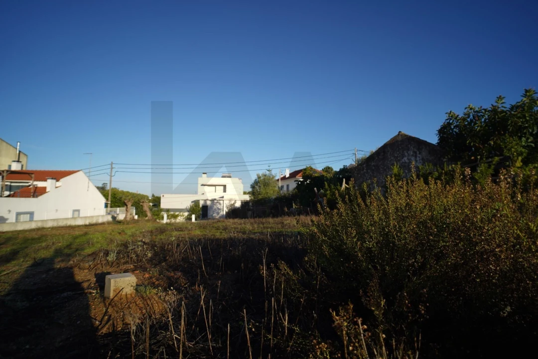 Terreno para Venda em Romeira e Várzea Foto 45