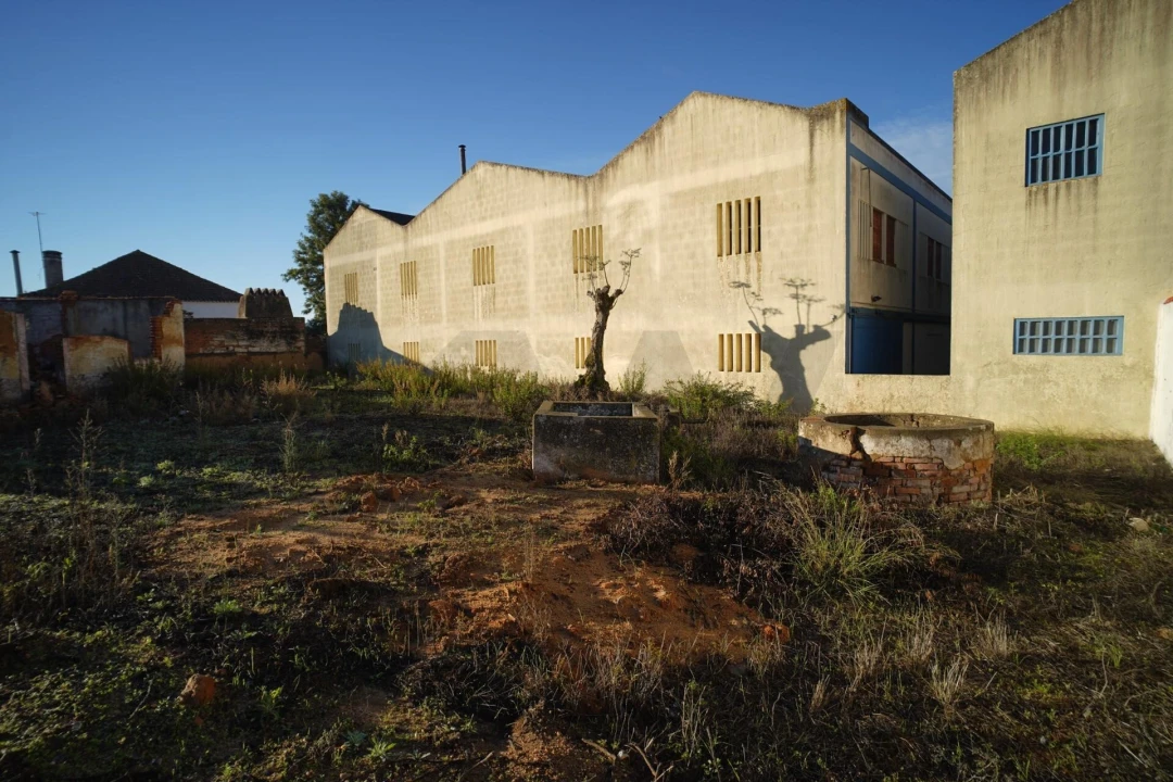 Terreno para Venda em Romeira e Várzea Foto 57