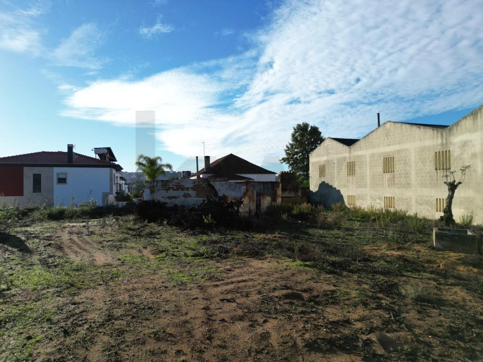 Terreno para Venda em Romeira e Várzea Foto 40