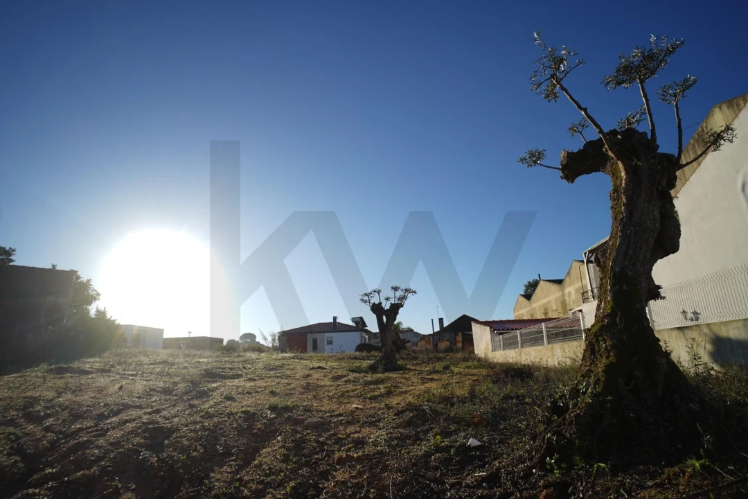 Terreno para Venda em Romeira e Várzea Foto 52