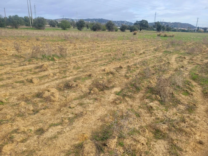 Terreno para Venda em Algoz e Tunes Foto 5