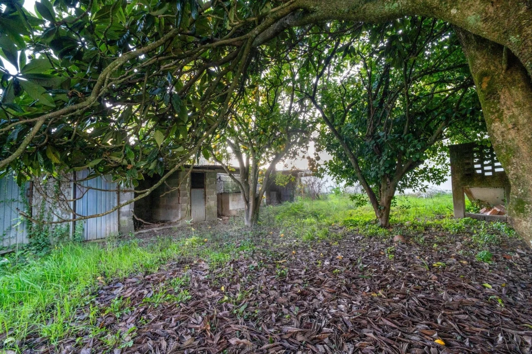 Moradia T6 para Venda em Queirã Foto 37