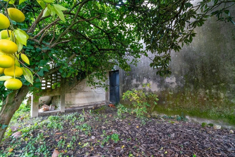 Moradia T6 para Venda em Queirã Foto 32