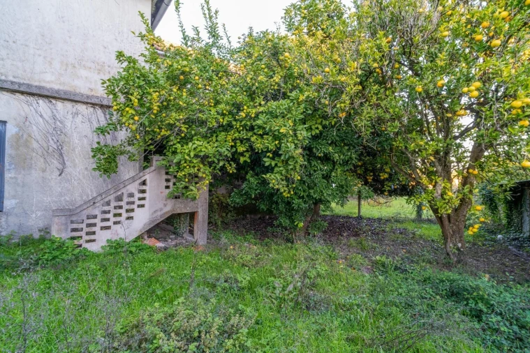 Moradia T6 para Venda em Queirã Foto 33