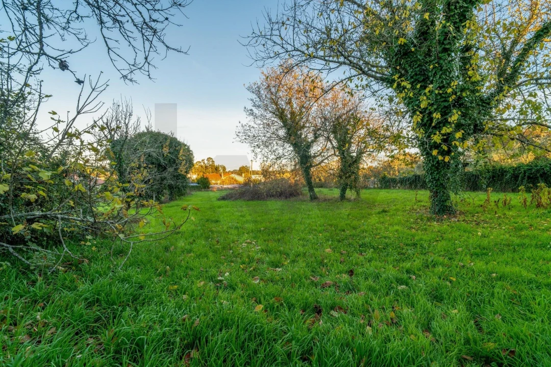 Moradia T6 para Venda em Queirã Foto 54