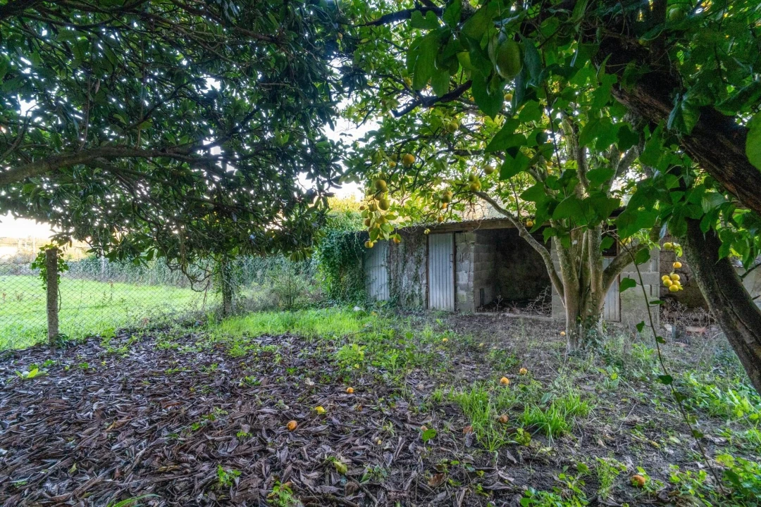 Moradia T6 para Venda em Queirã Foto 36