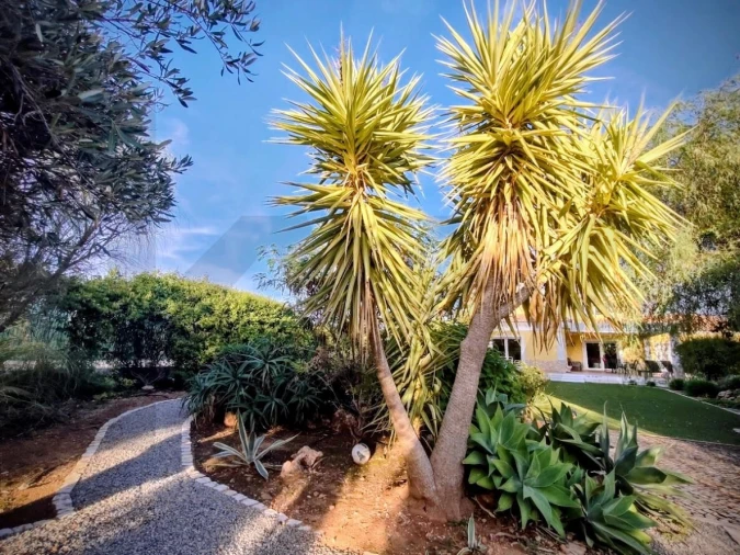 Moradia T4 para Venda em Vila Nova de Cacela Foto 46