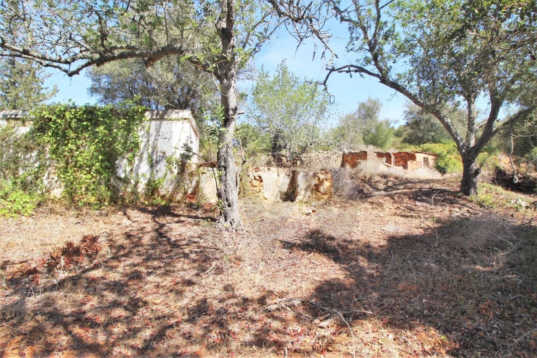 Terreno para Venda em Alcantarilha e Pêra Foto 16
