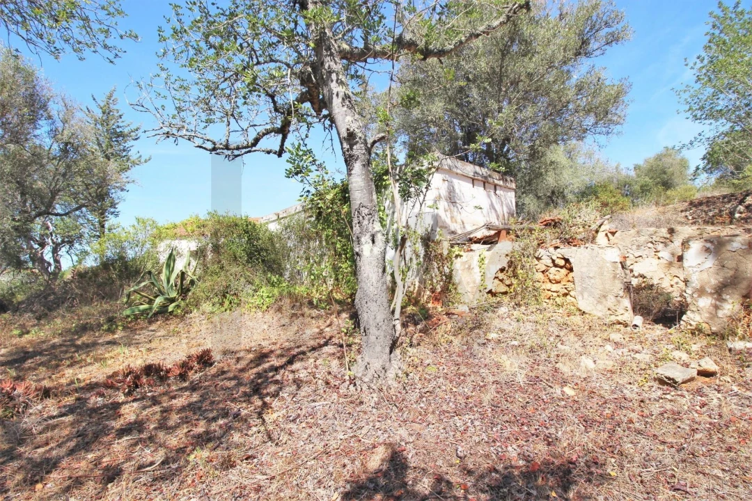 Terreno para Venda em Alcantarilha e Pêra Foto 17