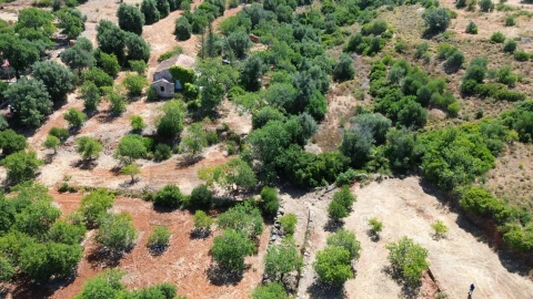 Terreno para Venda em Alcantarilha e Pêra